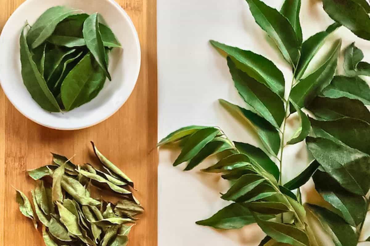 Fresh curry leaves in a white small bowl nest to a pile of whole dried leaves, both on a wood cutting board. Nest to it sits fresh sprigs of curry leaves on a white background.