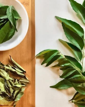 Fresh curry leaf sprigs on a white background and in a white bowl on a wood background with dried curry leaves in a pile.