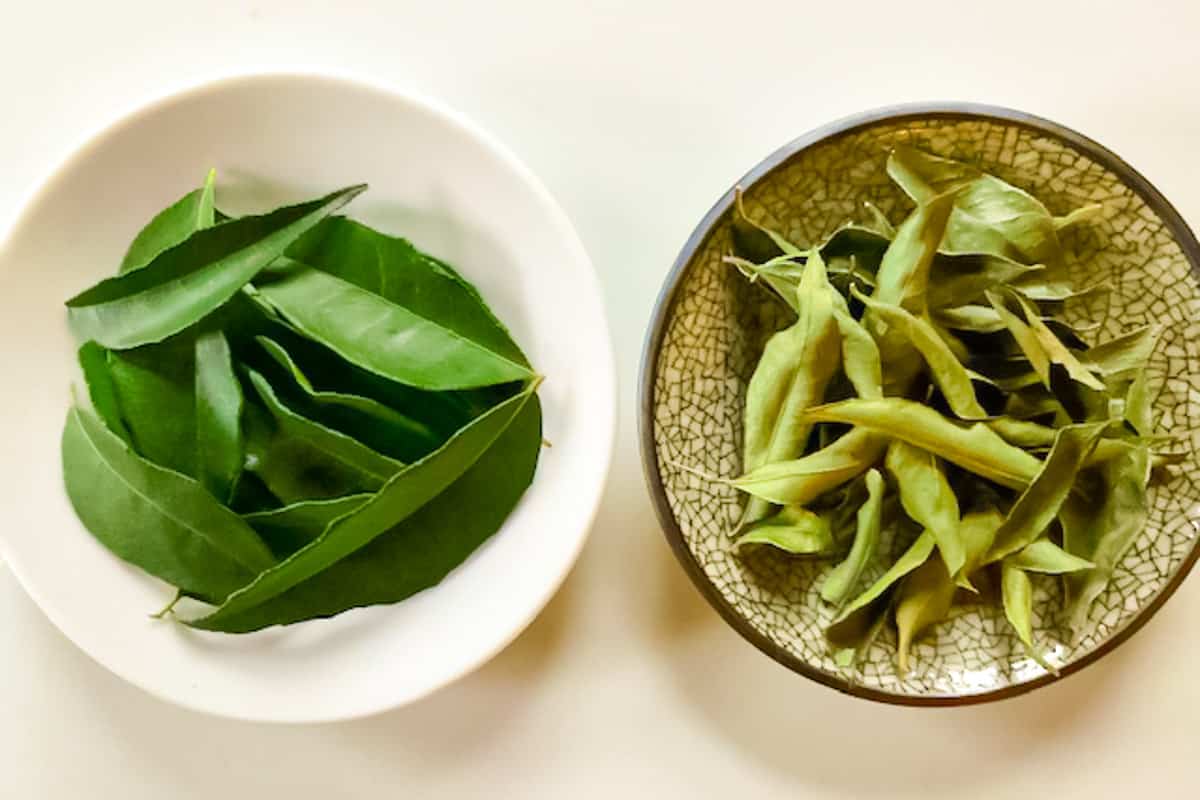 Two small bowls side by side.  Left bowl is white with fresh curry leaves. Right bowl is Asian with a cracked line design, filled with dried whole leaves.