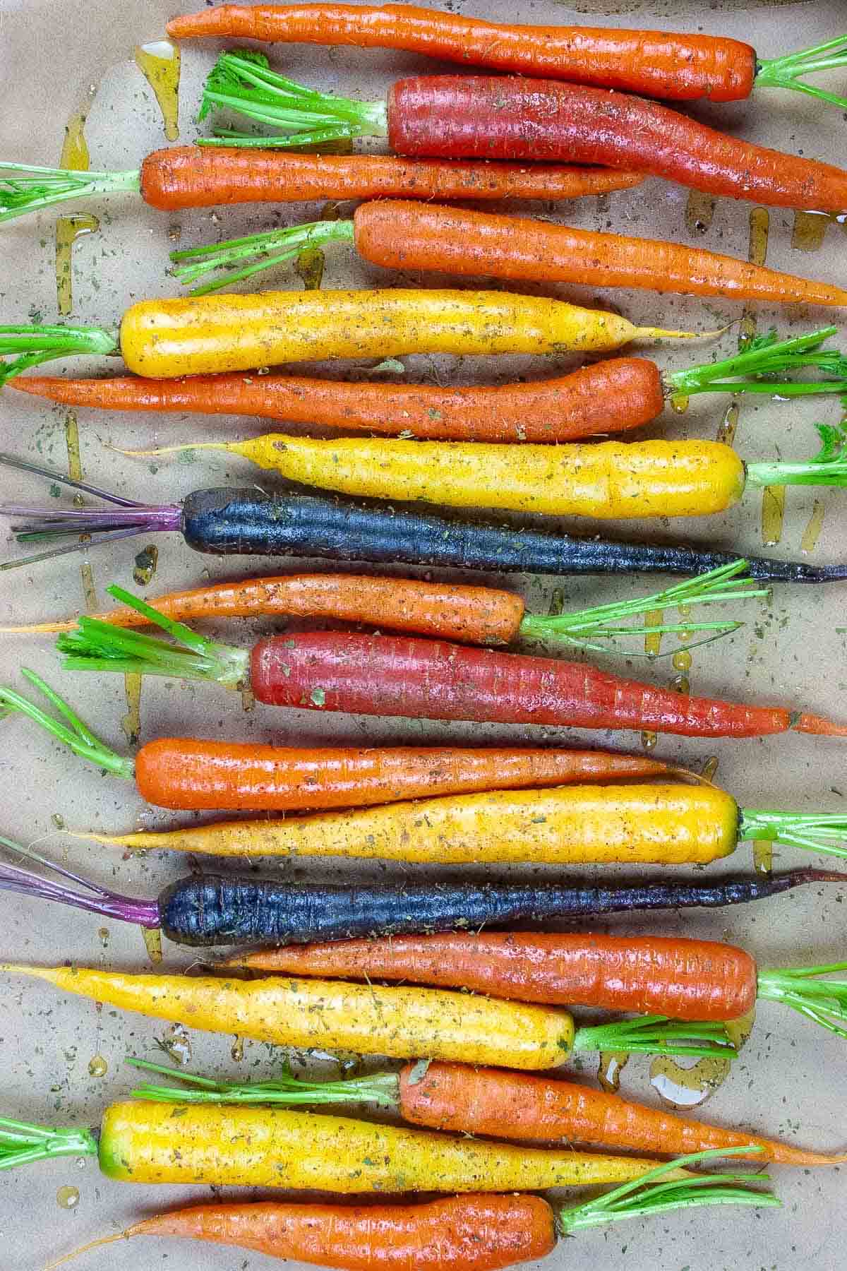 Rows of seasoned and oiled raw rainbow carrots laid on parchment paper horizontally with stems facing opposite directions.