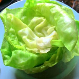 Boiled cabbage leaves stacked on a blue plate.