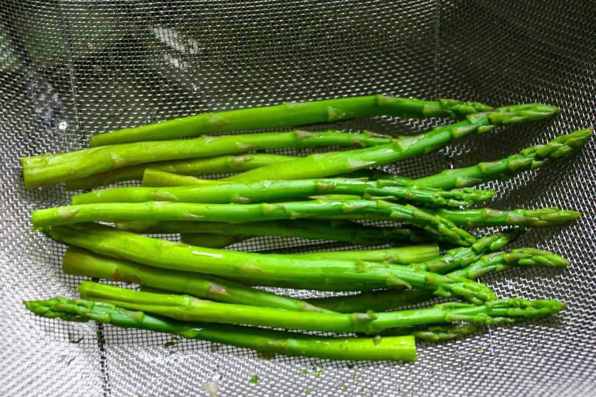 A dozen blanched asparagus in a strainer at the rinsing step.