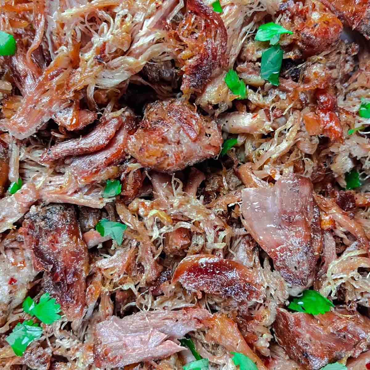 Shredded pork carnitas with a cilantro garnish on top.