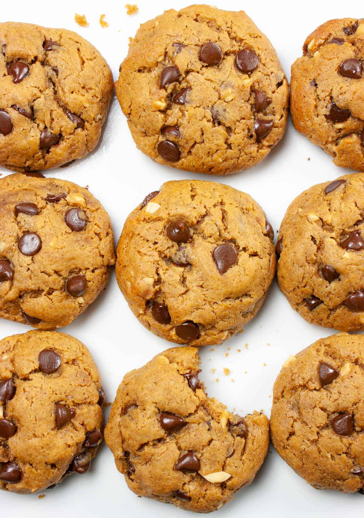 Nine peanut butter cookies on a white background with one missing a bite.