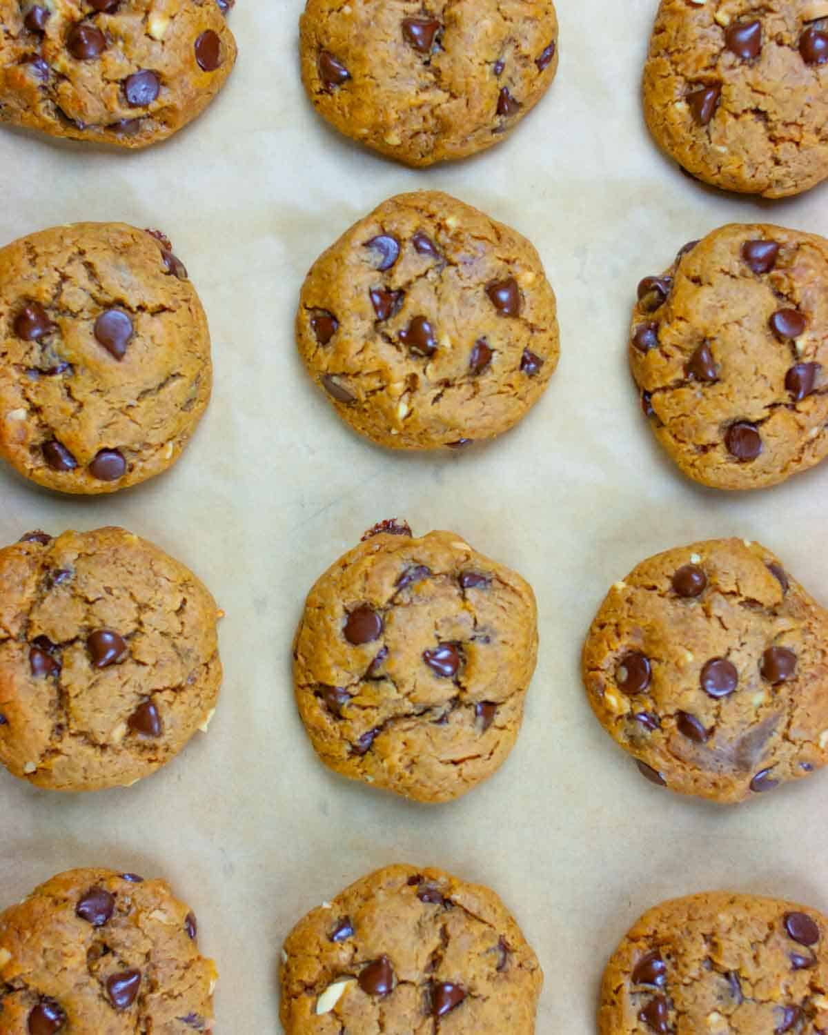 Crunchy peanut butter chocolate chip cookies freshly baked on an parchment lined baking sheet.