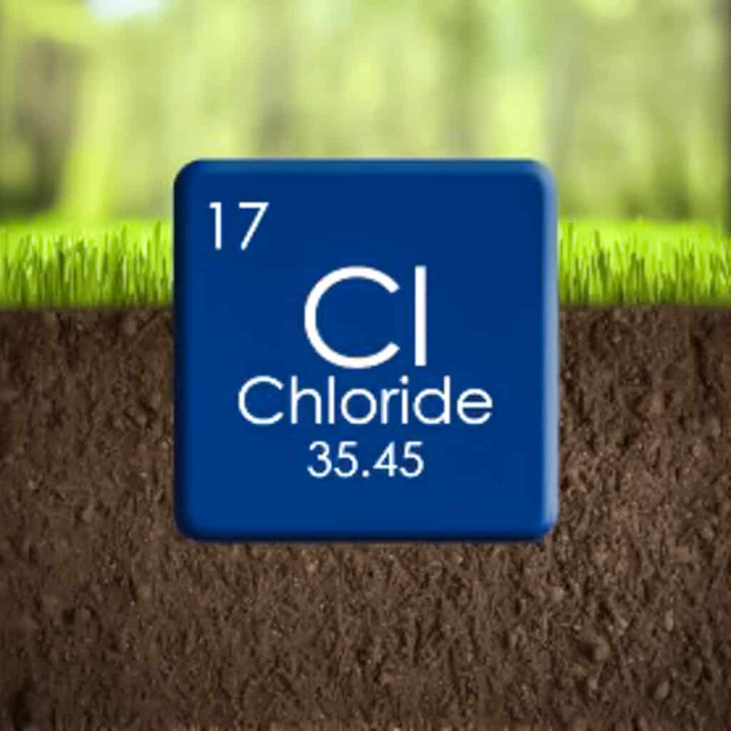 Blue square showing symbols from periodic table for chloride.