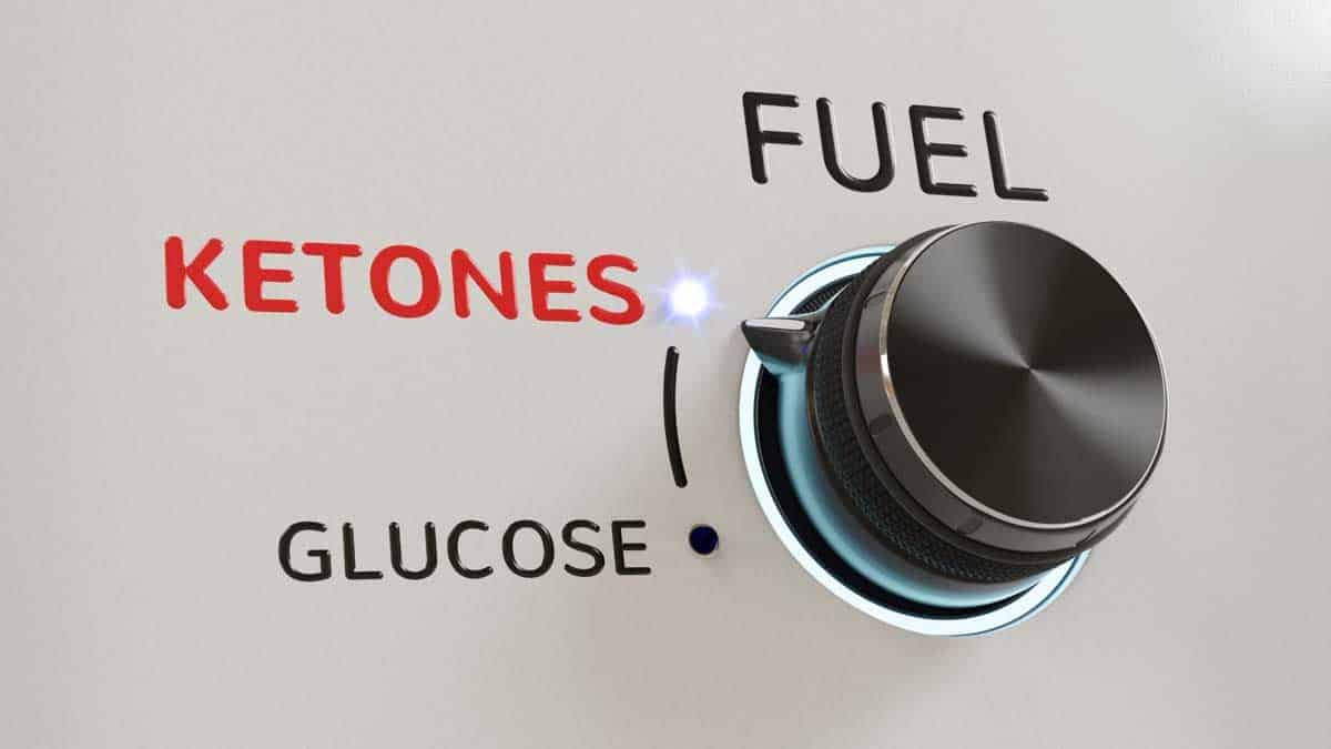 Grey background with a round selector knob labeled Fuel, with one selection reading glucose in black, and the other reading ketones in red.