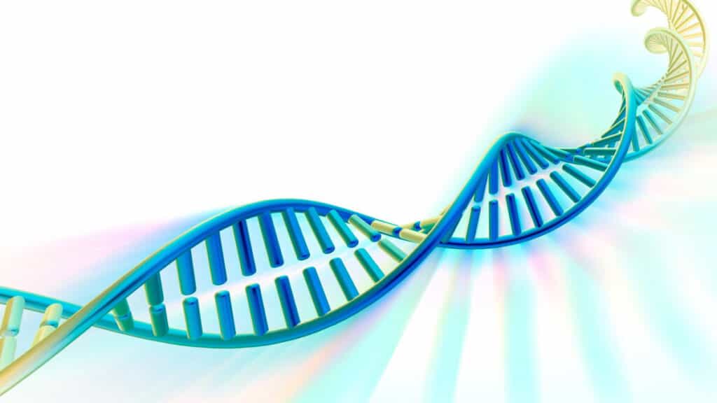 A twisted blue and yellow representation of a phosphate DNA molecule.