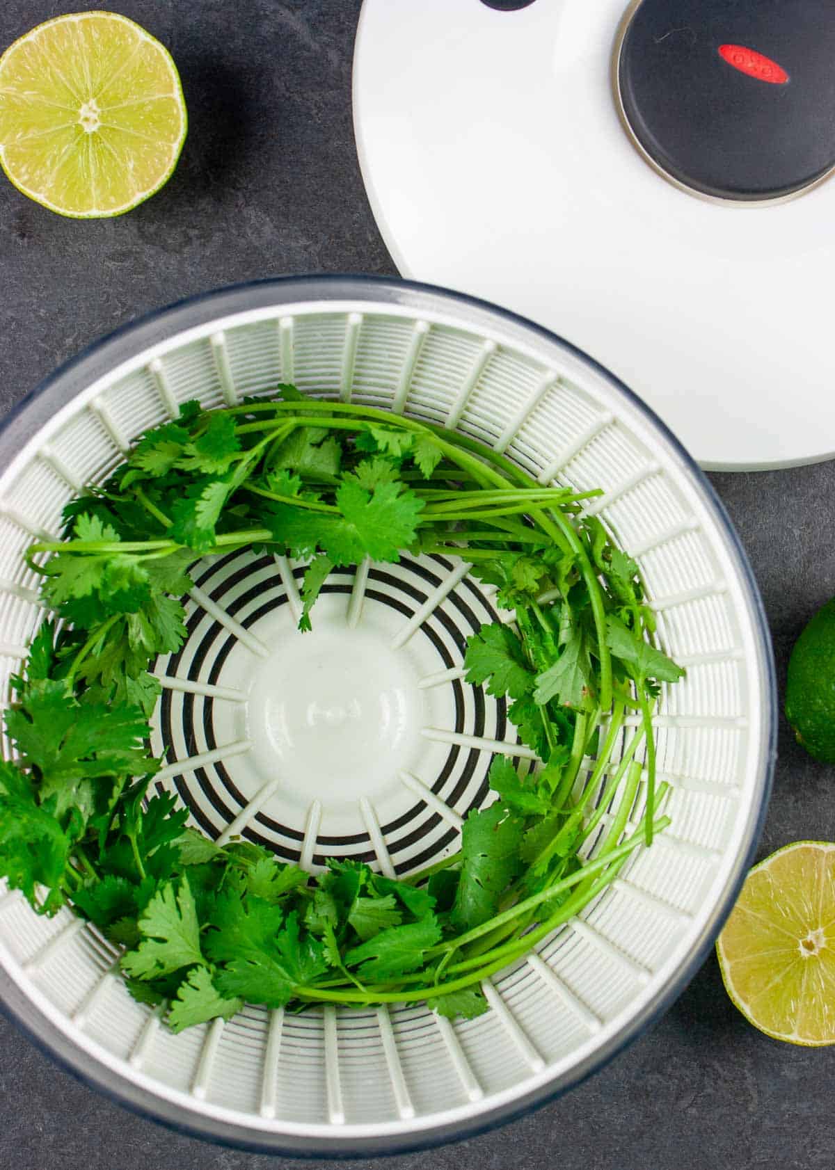 Fresh cilantro in a small salad spinner on a grey background with lime halves.
