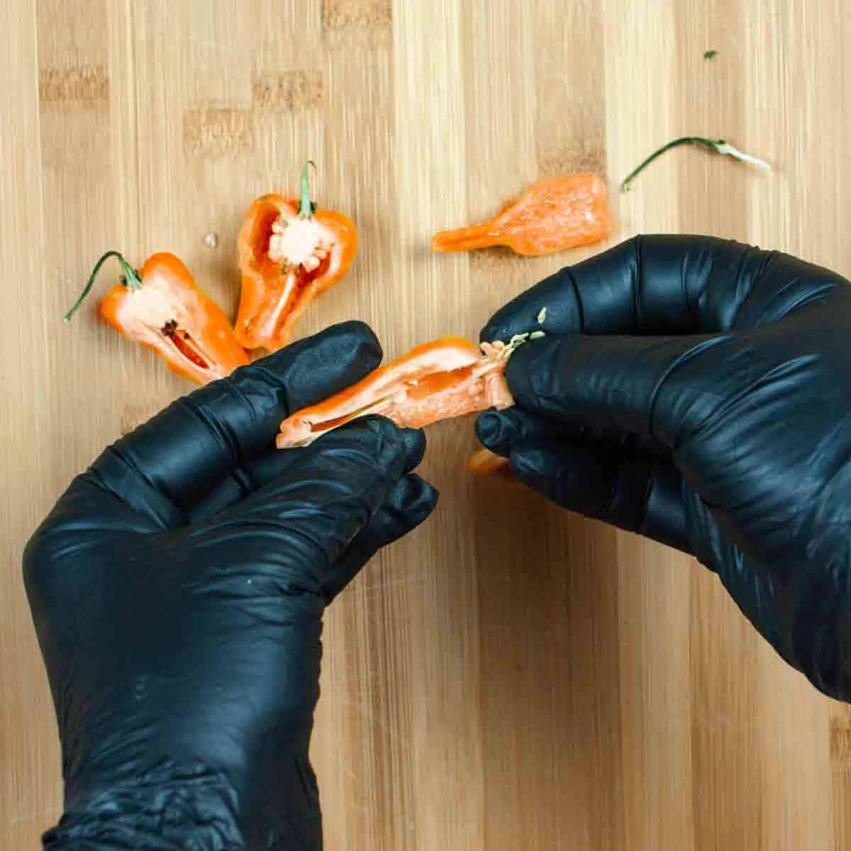 Removing seeds and pith from habanero peppers wearing black nitrile gloves.