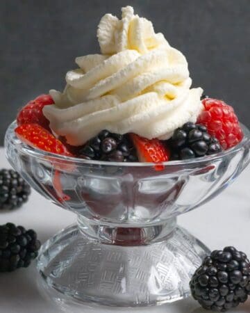 Dessert dish of assorted red and black berries topped with a swirl of low-carb whipped cream.