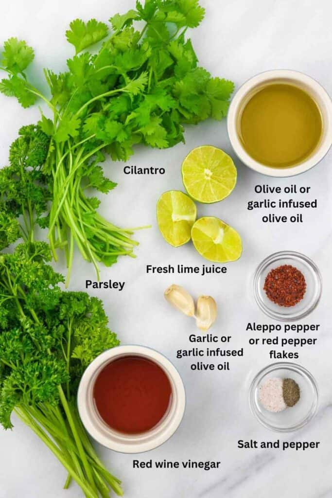 Mexican Chimichurri Sauce with Cilantro