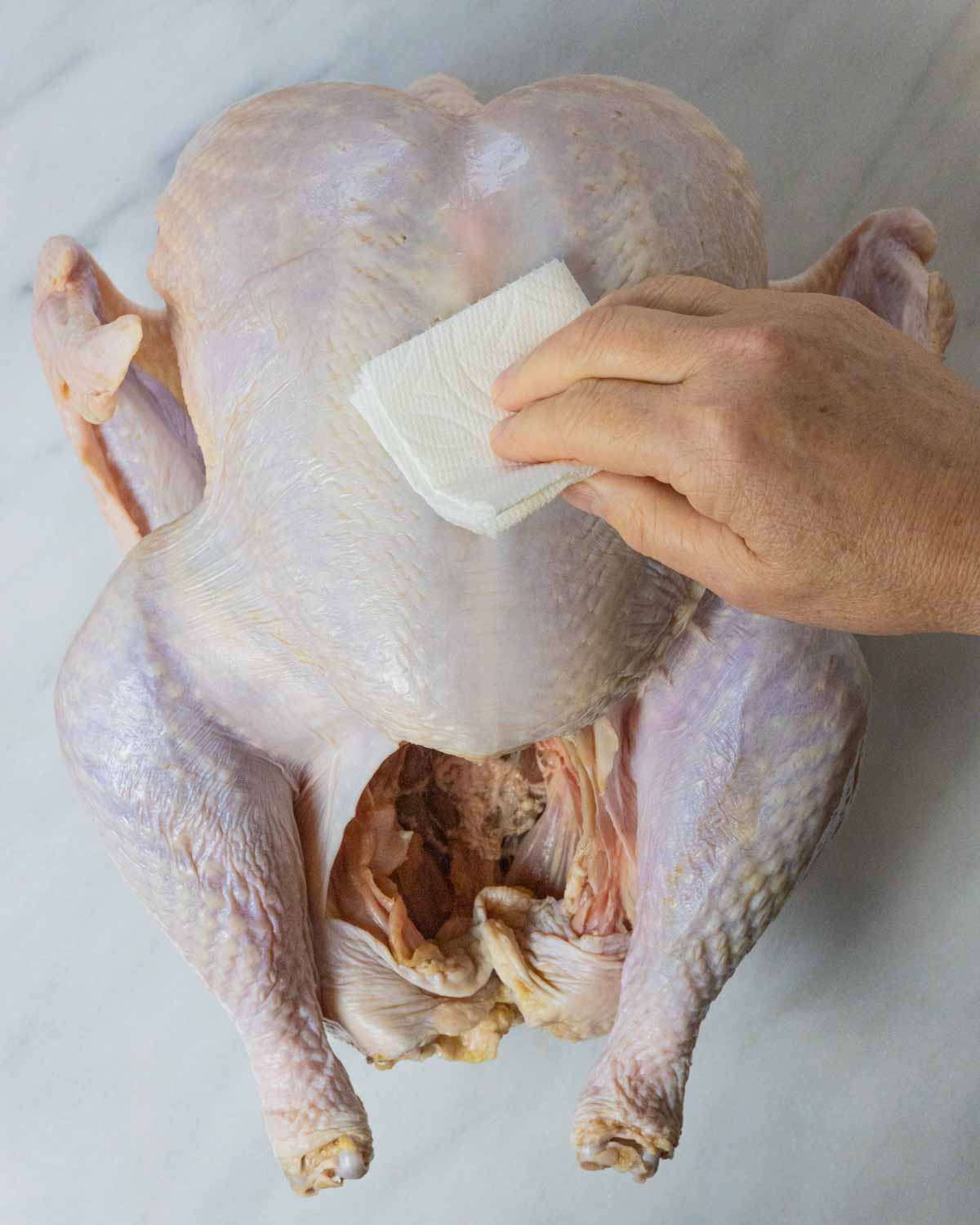 Patting dry raw whole turkey with a paper towel.