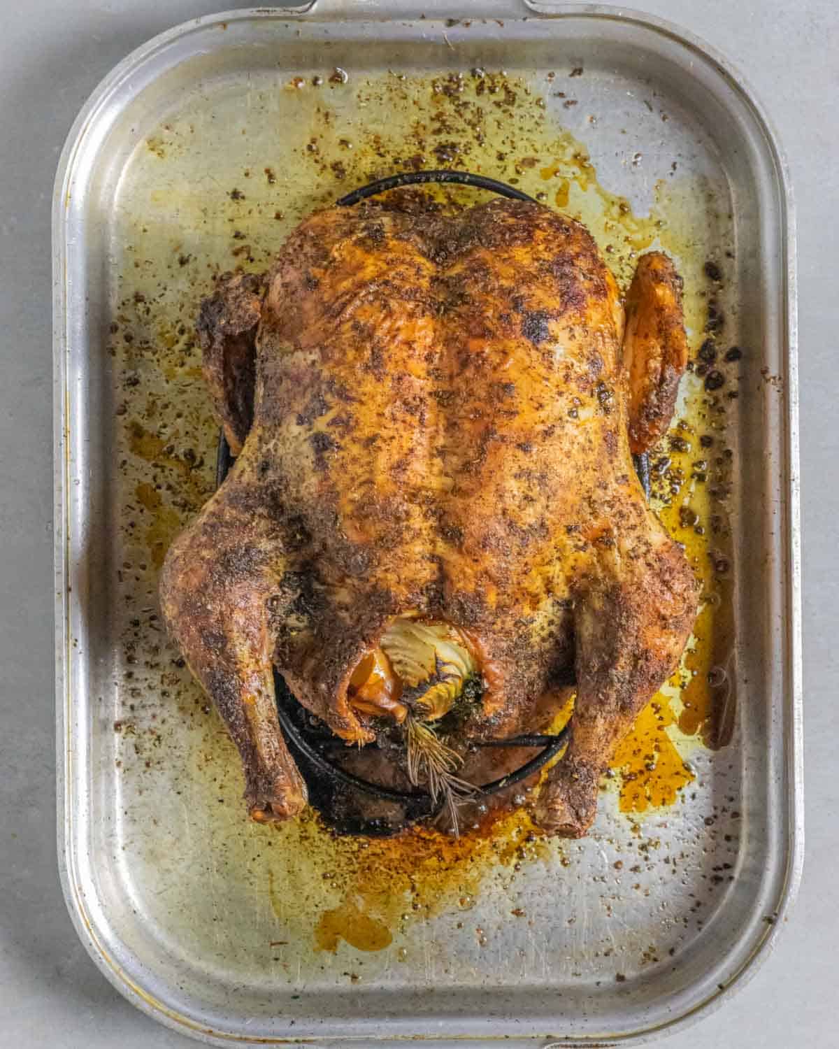 Baked whole chicken fresh from the oven in a roasting pan.