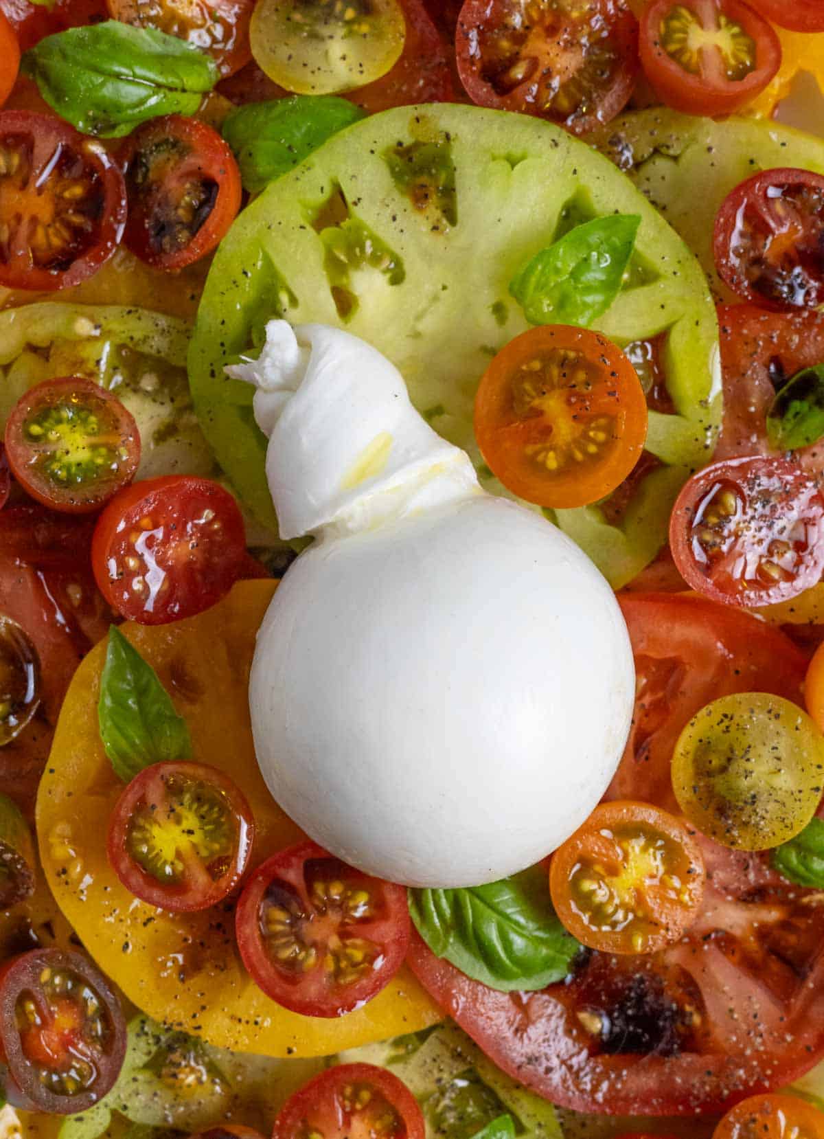 Ball of burrata cheese on top of caprese salad including sliced tomatoes, seasonings and basil.