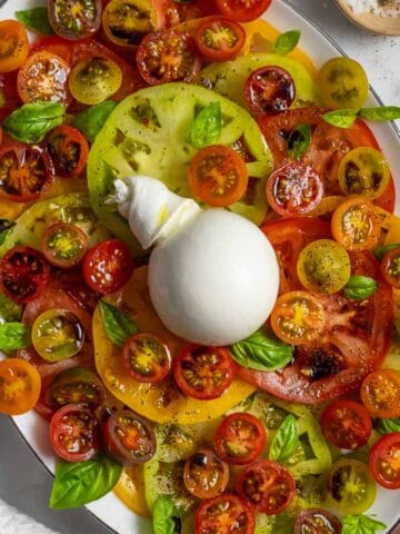 Plate of burrata caprese salad of multi-colored sliced large and cherry tomatoes with a burrata cheese ball in the center.