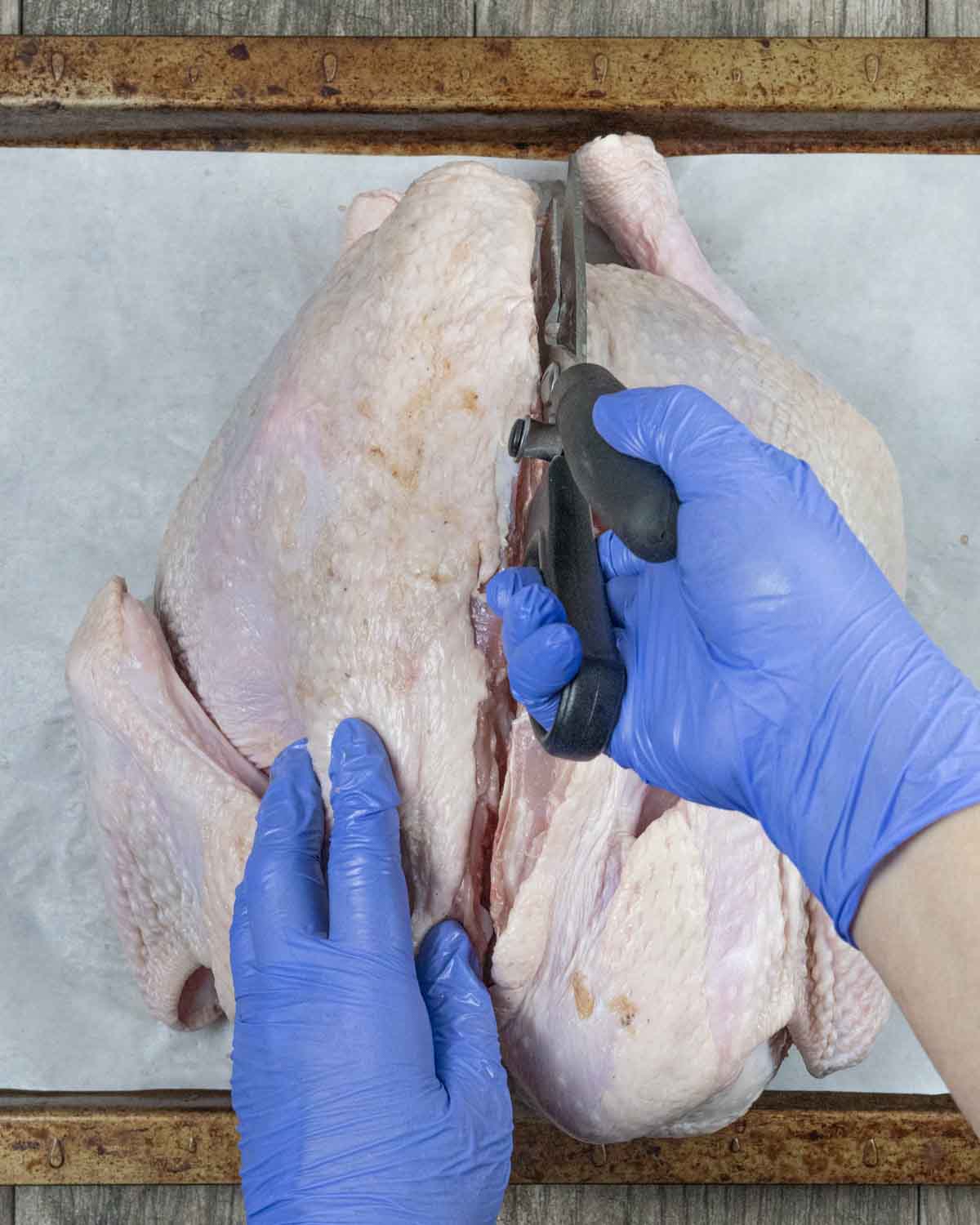 Two gloved hands with kitchen shears cutting down the backbone of a raw turkey from wings end to tail.