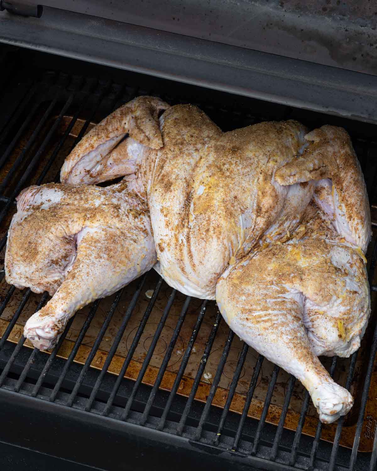 Seasoned raw turkey layed breast side up on smoker grates ready to smoke.