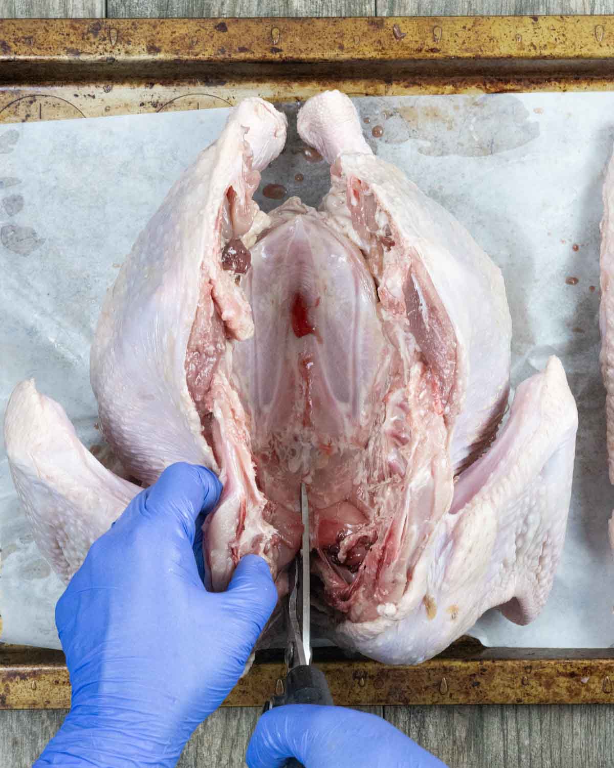 Gloved hands with kitchen shears cutting into the breastbone of a raw turkey after the backbone has been removed.