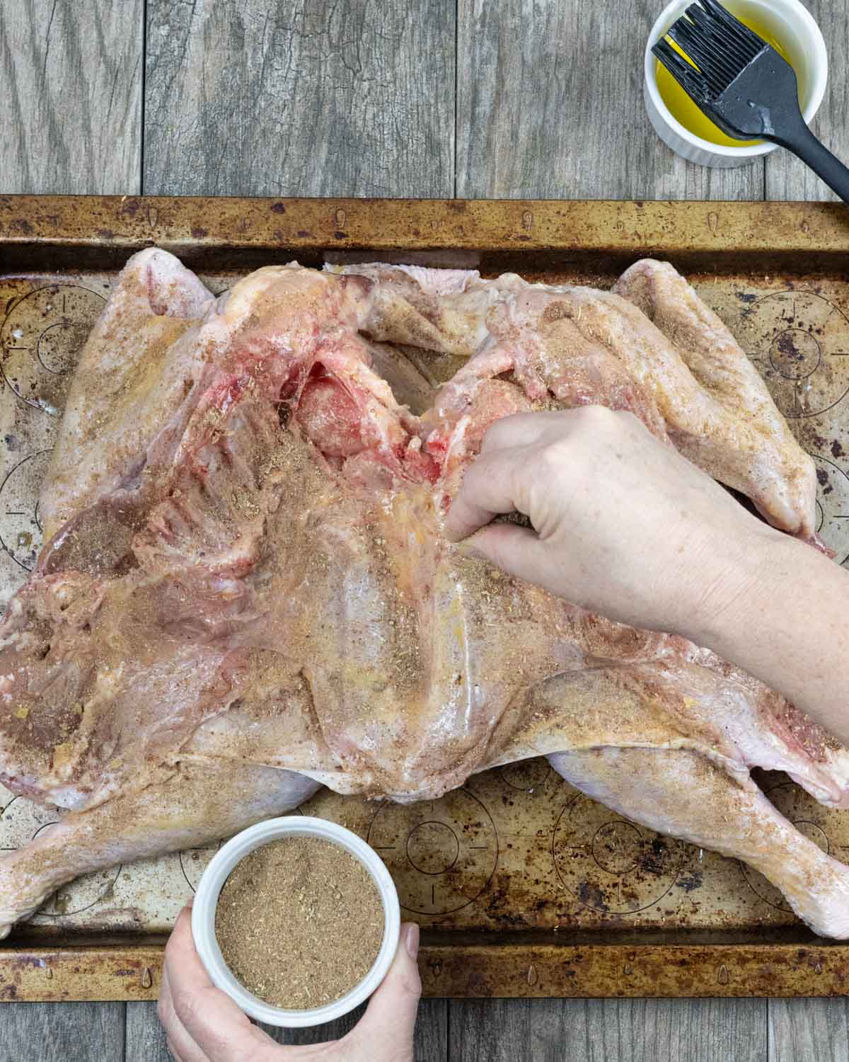 Cavity of raw spatchcocked turkey being sprinkled with seasoning on a tray.