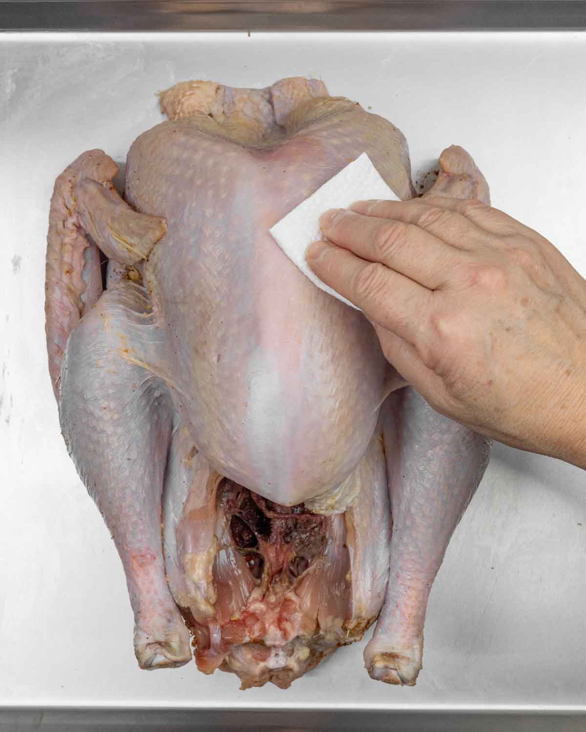 Whole raw turkey being patted dry with a paper towel.