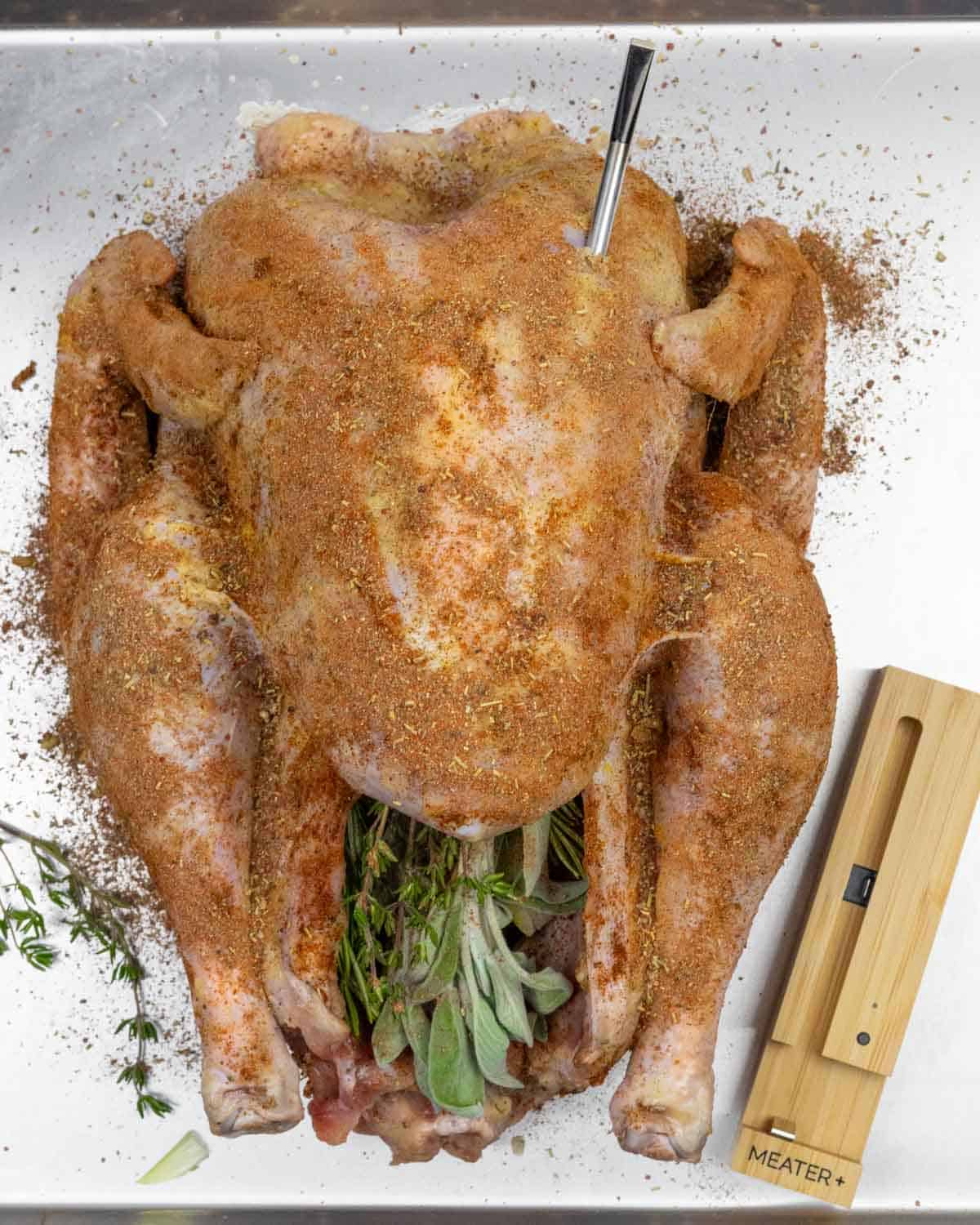 Seasoned whole turkey with aromatics stuffed in the cavity and a Meater probe in the breast with the thermometer base next to the bird.