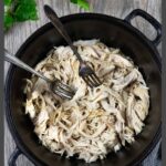 Shredded chicken in a cast iron Dutch oven with two forks.