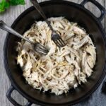 Shredded chicken in a cast iron Dutch oven with two forks.
