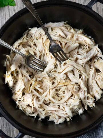 Shredded chicken in a cast iron Dutch oven with two forks.
